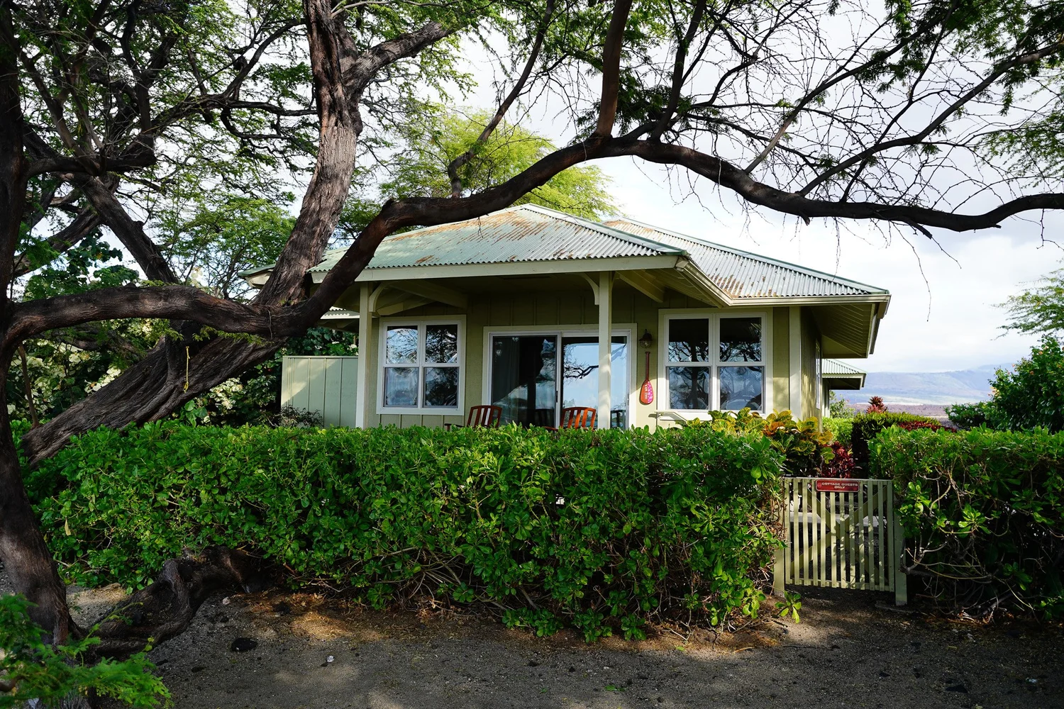 Hale Wa'a beneath its sprawling shade tree
